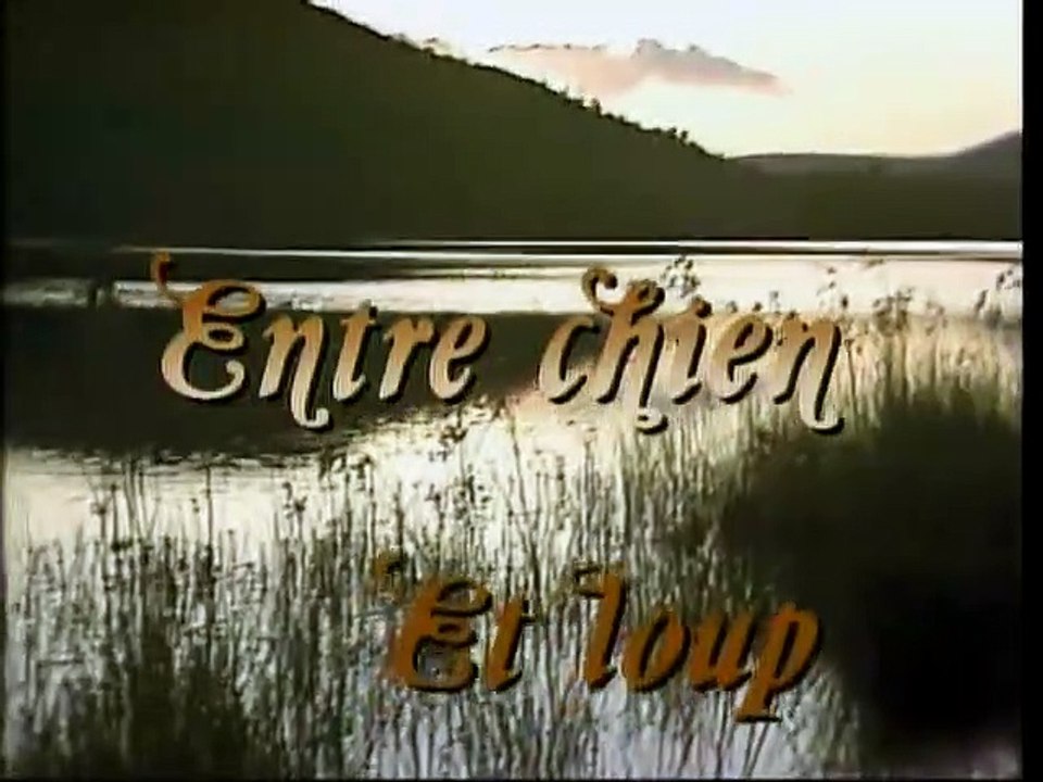 Entre chien et loup S6 E11