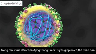 Minh họa - Quá trình xâm nhập và nhân lên của virus