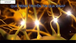 Minh họa - Quá trình truyền tin qua Xinap