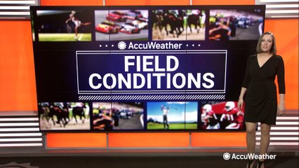 Your forecast for the final week of MLB spring training