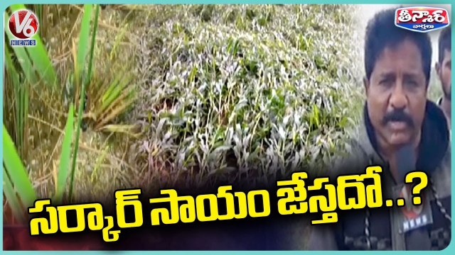 Farmers Worried For Crop Damaged Due to Heavy Rains,Demands Compensation | V6 Teenmaar