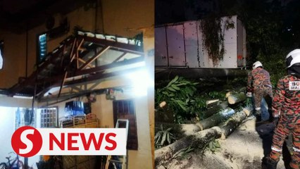 Houses, vehicles damaged by falling trees due to downpours in S'gor