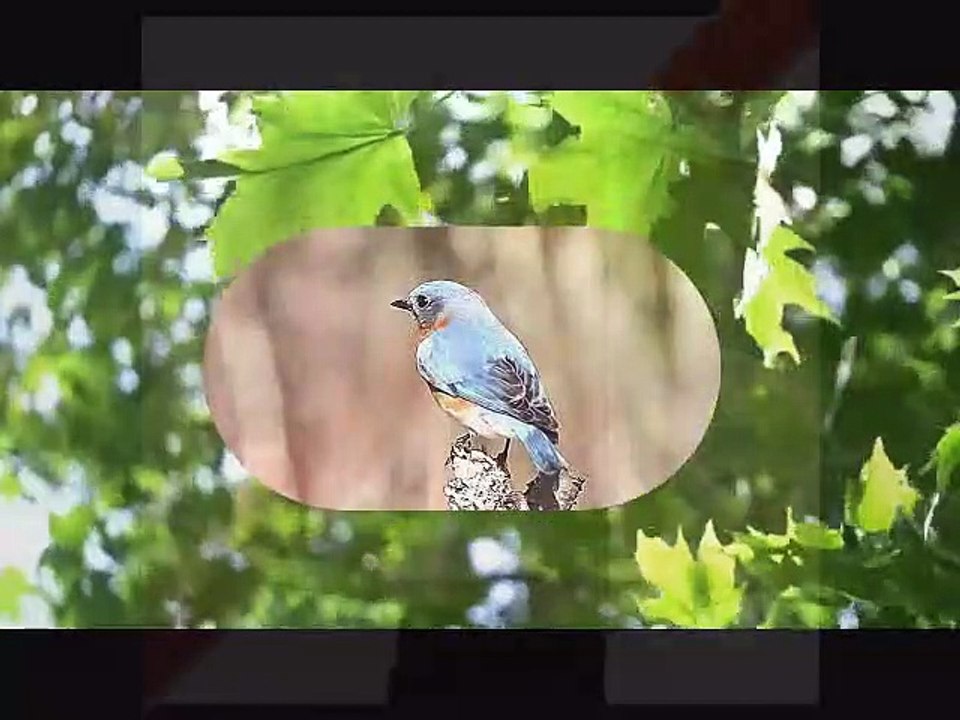 Put' em In A Box Tie'em With A Ribbon, Vince Castro