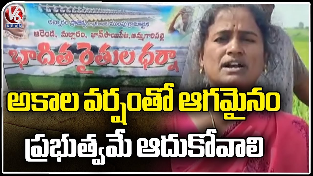 Crop Damage Updates _ Paddy Farmers Fires On BRS Govt Over Compensation | V6 News