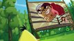 Angry Birds Toons S02 E020