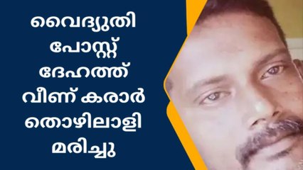 ജോലിക്കിടെ ദുരന്തം; പോസ്റ്റ് ദേഹത്ത് വീണ് കരാർ തൊഴിലാളി മരിച്ചു