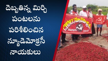 ఖమ్మం: దెబ్బతిన్న పంటలను పరిశీలించిన న్యూడెమోక్రసీ నాయకులు