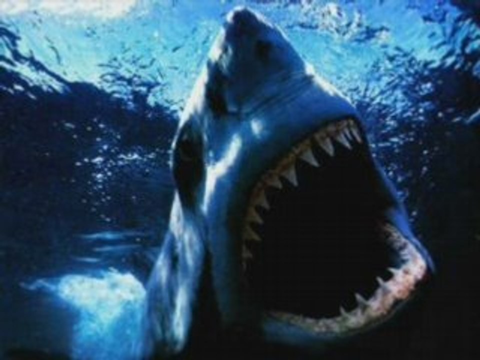 jt tf1 comment générer la peur : explication