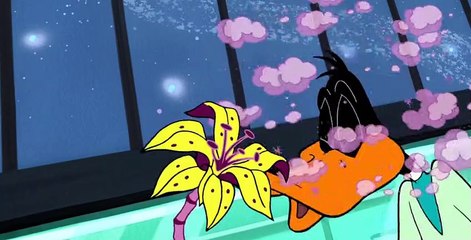 Duck Dodgers S01 E07
