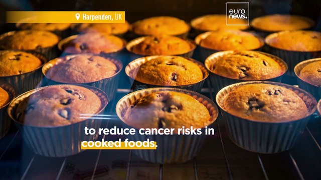 UK scientists are growing genetically edited wheat to reduce cancer risk from burnt foods