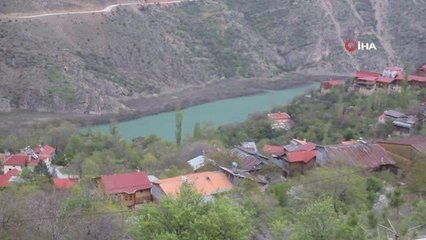 Misafiri "Kapı tokmağı" sesinden tanıyorlar