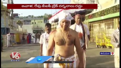 Koil Alwar Thirumanjanam Performed In Tirumala On The Eve Of Ugadi _ V6 News (1)