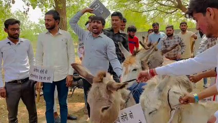 छात्रों ने गधे साथ लेकर निकाली रैली, देखें वीडियो