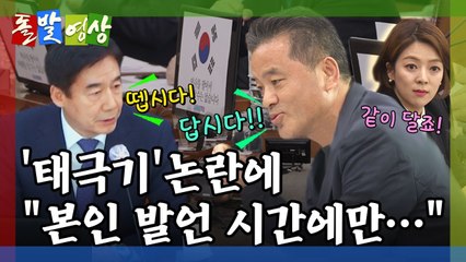 [돌발영상] 태극기는 잘못이 없다 / YTN