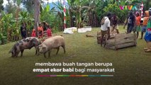 Letnan Jenderal TNI Maruli Datang, Belantara Papua Terang