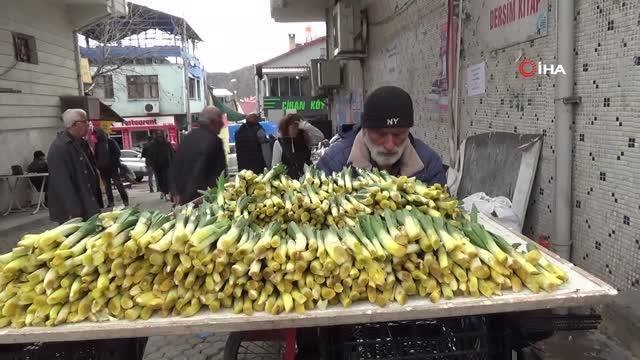 Gulik olarak bilinen çiriş otu tezgahlarda yerini aldı