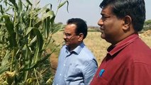 Video Story: The collector arrived in the fields