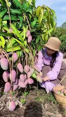 Enjoy beautiful nature with rural life