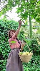 Enjoy beautiful nature with rural life