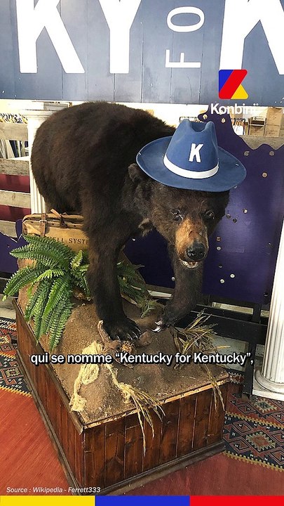 L'histoire de "Crazy Bear" AKA l'ours sous coke : les coulisses raconté par Elizabeth Banks