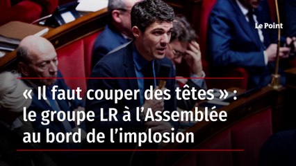« Il faut couper des têtes » : le groupe LR à l’Assemblée au bord de l’implosion