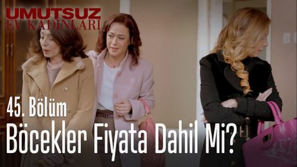 Hamam böcekleri fiyata dahil mi - Umutsuz Ev Kadınları 45. Bölüm