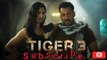 Tiger 3 Interesting Facts | Interesting Facts About Tiger 3 Movie | Salman Khan | Katrina kaif