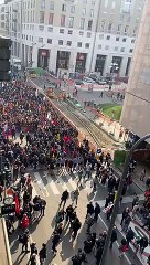 corteo-vittime-mafie