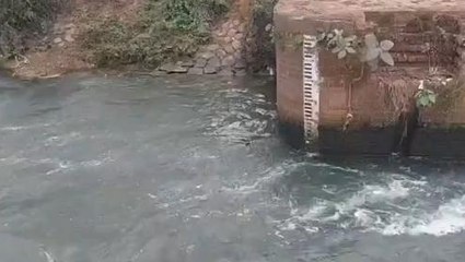 পূর্ব বর্ধমান: তিন দিন পর ভেসে উঠল নিখোঁজ ছাত্রের নিথর দেহ, চাঞ্চল্য