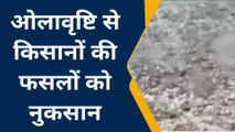 ललितपुर: कुदरत की मार से बुंदेलखंड फिर हुआ बर्बाद, किसानों की खड़ी फसलें हुई तबाह