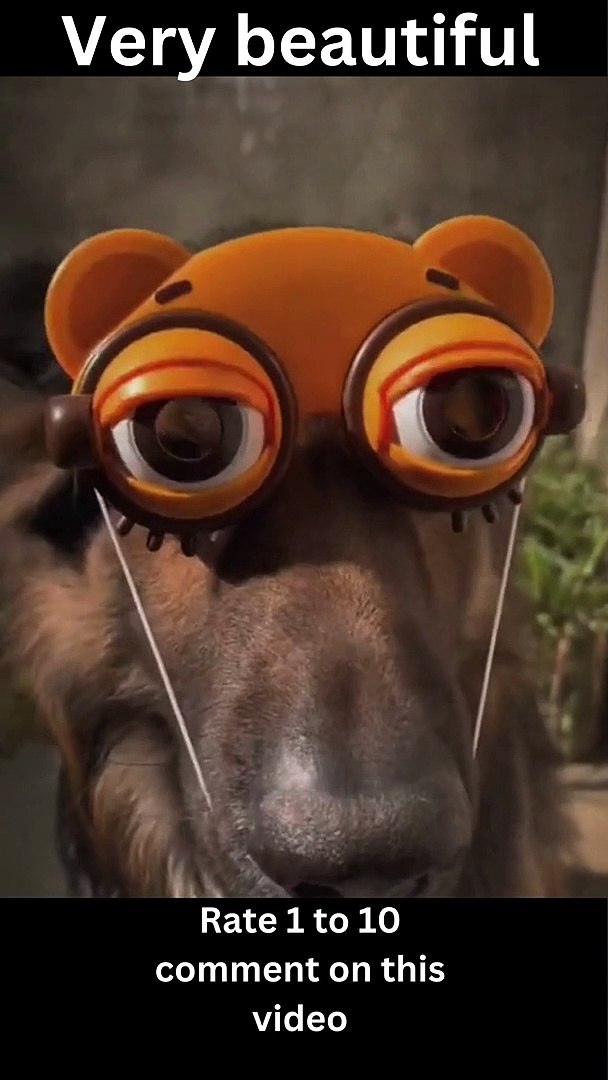 ⁣Animal funny pets are in joking moodfunny pets-funny pets
