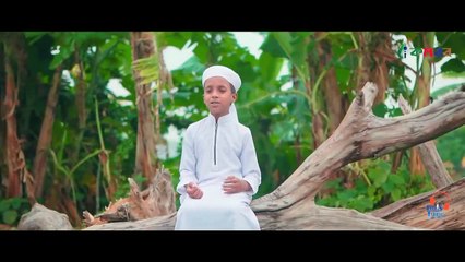 হৃদয় তোলপাড় করা মরমি গজল । Miche Jibon । মিছে জীবন । Hujaifa Islam Kalarab