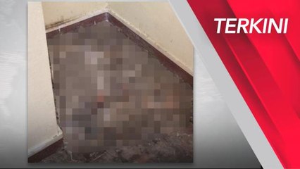 [TERKINI] Lelaki ditahan bantu siasatan penemuan bangkai, rangka kucing