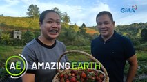 Amazing Earth: A new tourist attraction with a unique activity