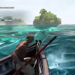 White Shark Hunting With Boat