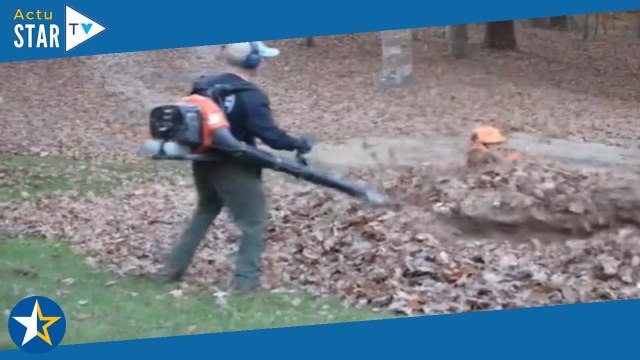 Il a eu droit à une belle frayeur en découvrant ce qui se cache sous ces feuilles morts