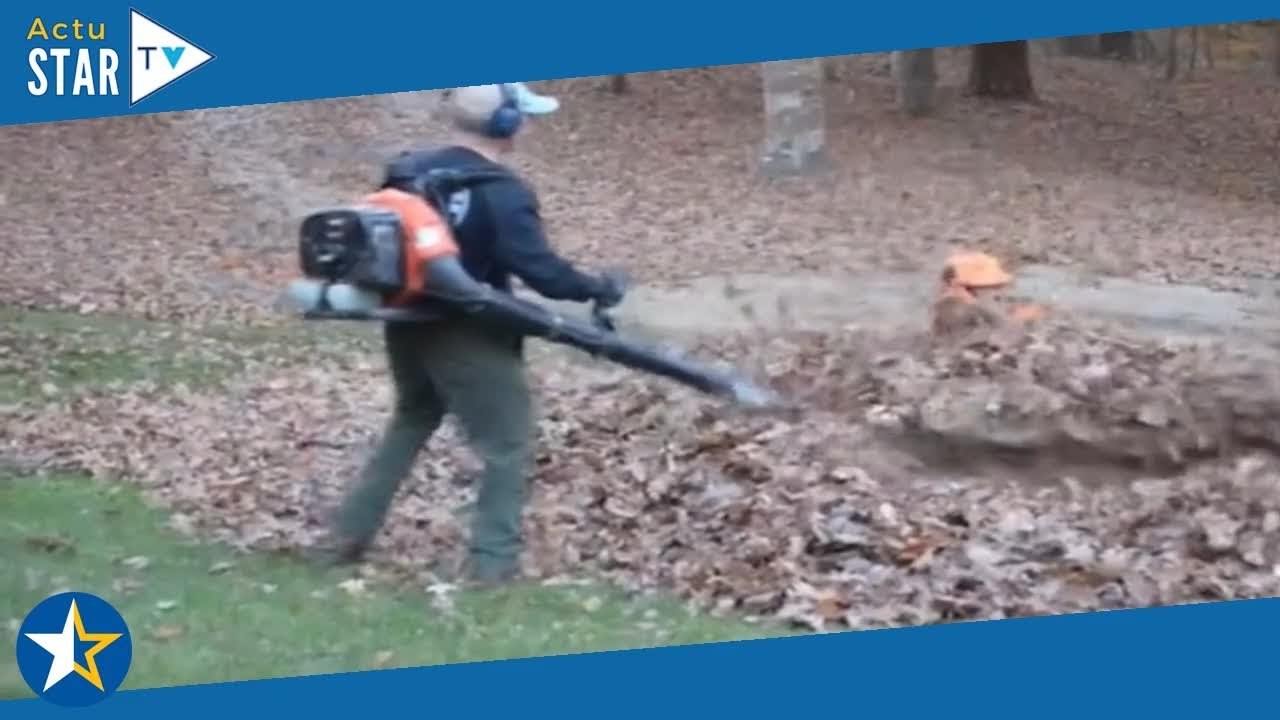 Il a eu droit à une belle frayeur en découvrant ce qui se cache sous ces feuilles morts