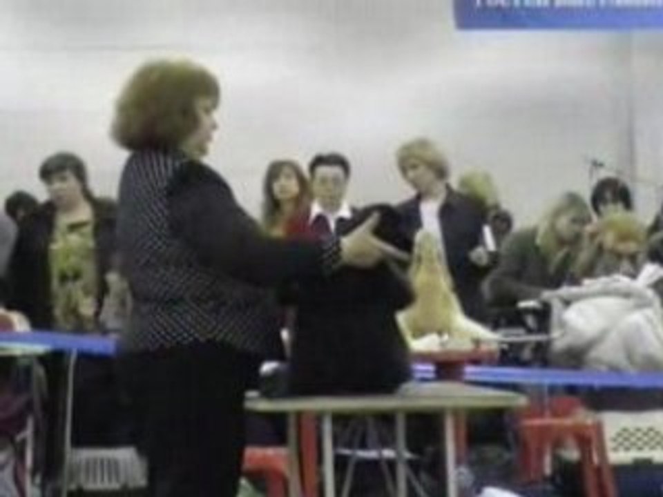 Dog Show EURASIA-2 24.02.2008 Moscow part 11