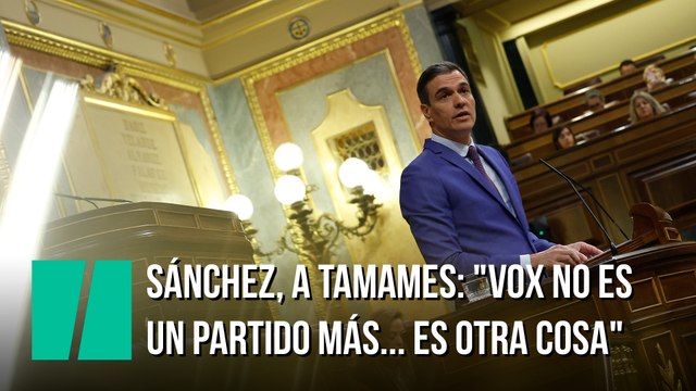Sánchez, a Tamames: Vox no es un partido más... es otra cosa