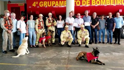 Corpo de Bombeiros apresenta "Sky", a nova cadela da corporação