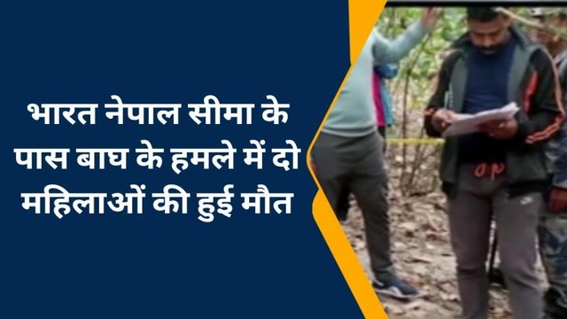 बाघ ने दो नेपाली महिलाओं को बनाया निवाला, भारतीय सीमा से कुछ दूरी पर नेपाल राष्ट्र में हुई घटना