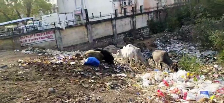 शाम होते ही दुकानदार सड़कों पर फेंक रहे कचरा