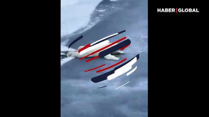 Kutup ayısının buz tabakasını kırmadan geçmek için sergilediği performans, gündem oldu