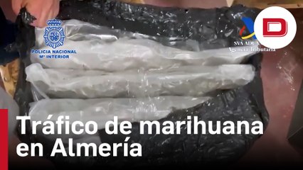 Desarticulada una organización criminal asentada en Almería dedicada al tráfico de marihuana