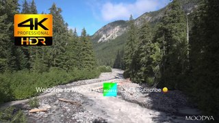 4K HDR Proxy+TV Nature Video - White River at Mt. Rainier National Park - Daily Relaxation