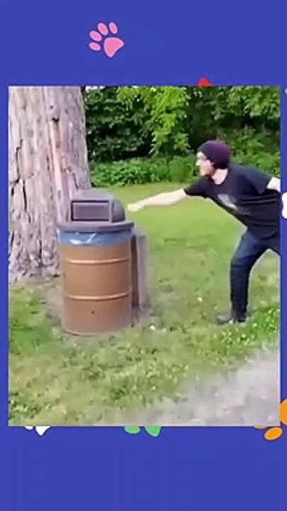 Try not to laugh Funny animals‖ #shorts ‖ Fun Store #animals #cats_2