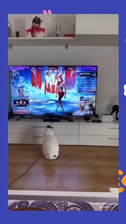 Try not to laugh Funny animals‖ #shorts ‖ Fun Store_3