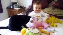 Cute cats cuddling and playing with babies - Cat & baby compilation