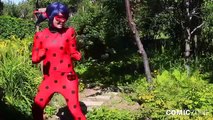 Miraculous Ladybug & Chat Noir Real Life Cosplay! -  Cosplay Live Miraculous Ladybug Skit
