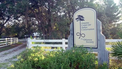 Don’t Mess With These Snakes! Some Call Them The Largest in North America